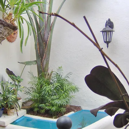 Rustic With Balcony And Sea View إيكود ذي لوس فينوس