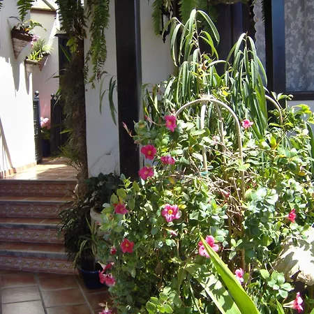 아파트 Rustic With Balcony And Sea View