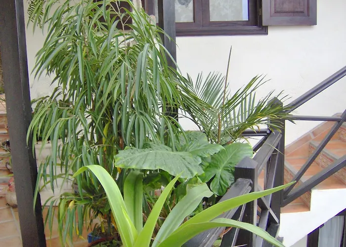 דירה Rustic With Balcony And Sea View איקוד דה לוס וינוס