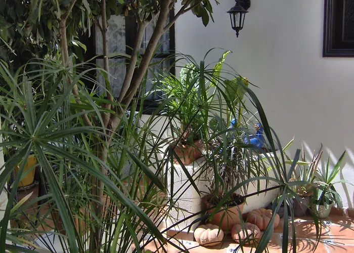 Rustic With Balcony And Sea View * איקוד דה לוס וינוס