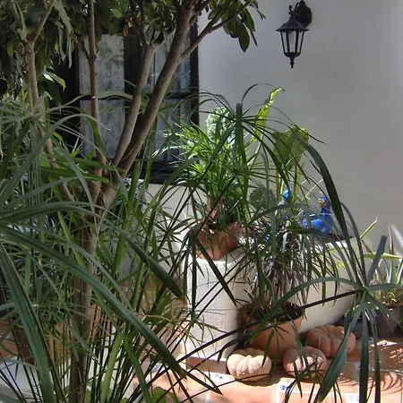 Rustic With Balcony And Sea View * Icod De Los Vinos