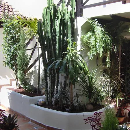 Rustic With Balcony And Sea View Apartment Icod De Los Vinos