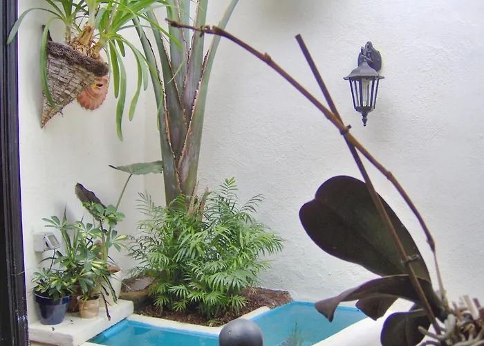 Rustic With Balcony And Sea View Icod de los Vinos